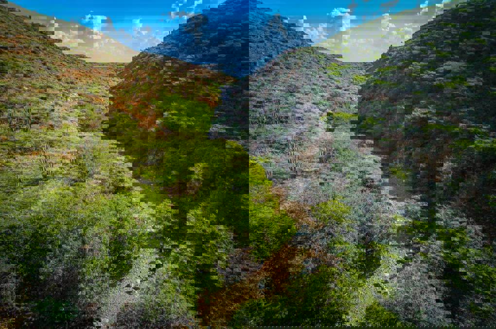 278196633_10160242515783474_4383926468928754229_n